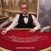 Blackjack VIP Q Table Interface
